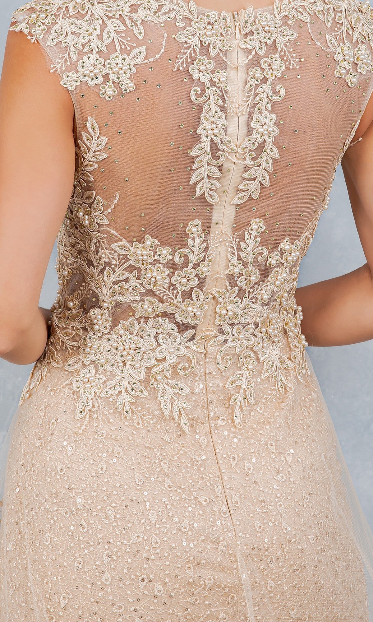 Close-up of a woman wearing the Long Formal Dress: Cinderella Couture 8506J in beige, featuring intricate embroidery, bead detailing, and delicate lace appliques, viewed from the back.